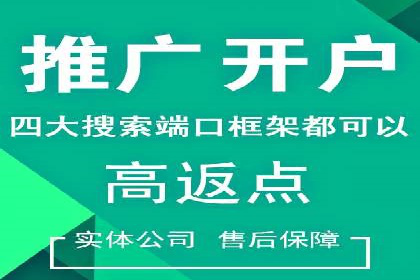 专业SEM托管如何助力电商行业增长？——案例分析
